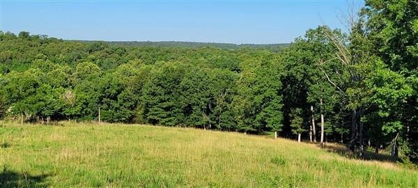 view of local wilderness featuring a wooded view