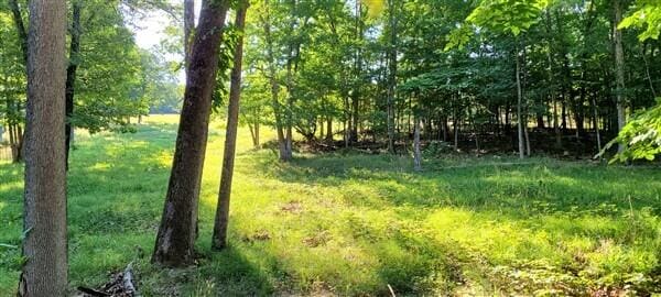 view of nature