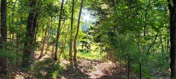 view of nature with a view of trees