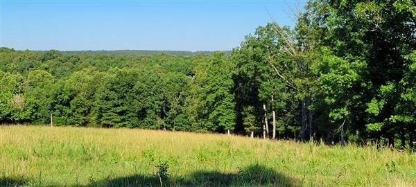 view of local wilderness with a view of trees