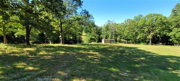 view of yard featuring a forest view, an outbuilding, and a storage shed