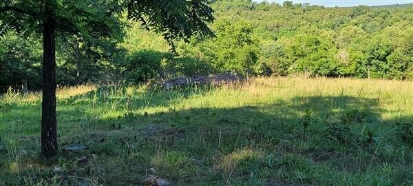 view of nature featuring a view of trees