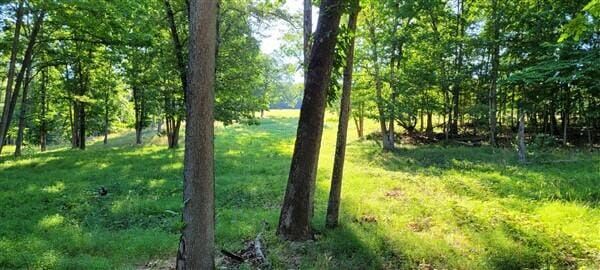 view of nature