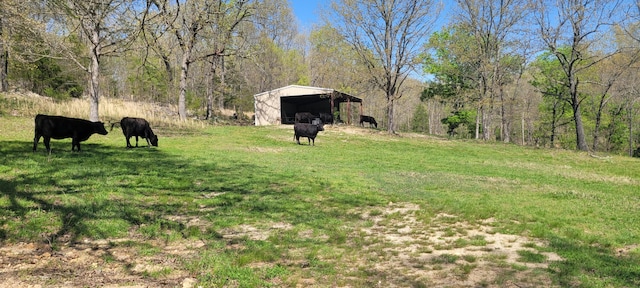 view of yard featuring a carport, a rural view, an outbuilding, and an outdoor structure
