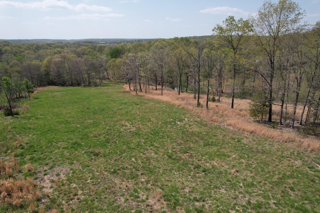 view of yard featuring a wooded view