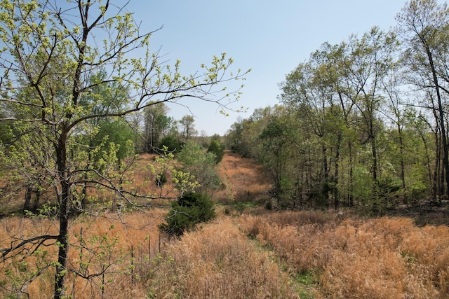 view of landscape featuring a wooded view