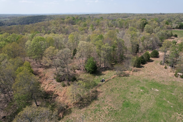 bird's eye view with a view of trees