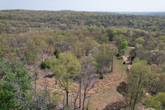 bird's eye view with a forest view