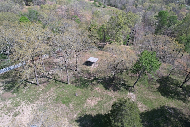 bird's eye view featuring a view of trees