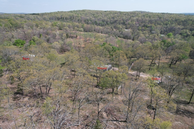 bird's eye view with a forest view