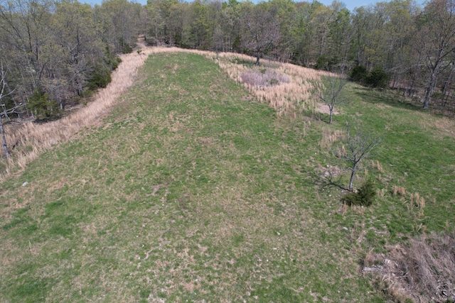 birds eye view of property featuring a view of trees