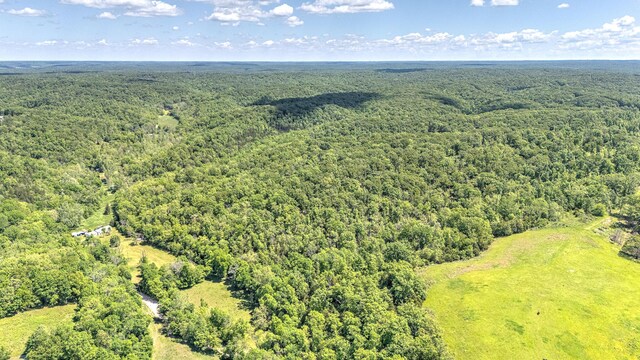 000 Woodard Rd, Washburn, MO 65772 - photo 8