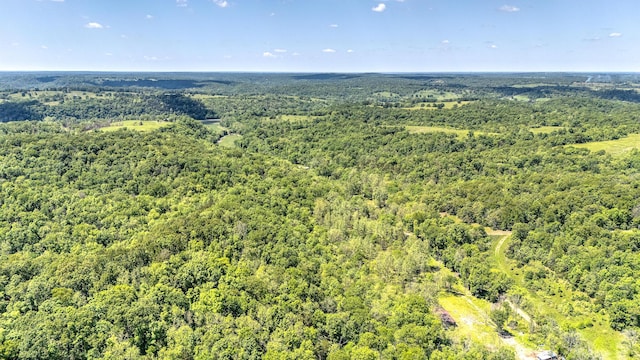 000 Woodard Rd, Washburn, MO 65772 - photo 6