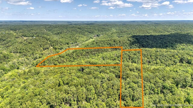 000 Woodard Rd, Washburn, MO 65772 - photo 2