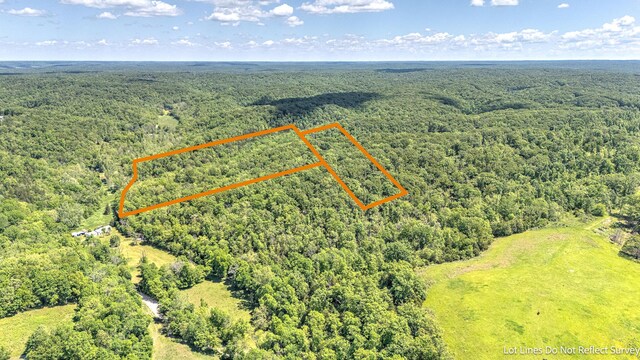 000 Woodard Rd, Washburn, MO 65772 - photo 11