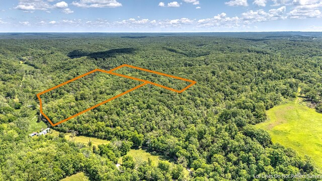 000 Woodard Rd, Washburn, MO 65772 - photo 12