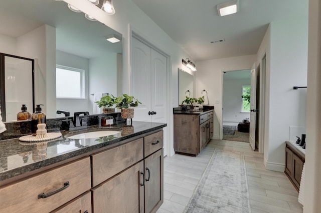 bathroom featuring wood finished floors, visible vents, a wealth of natural light, and vanity