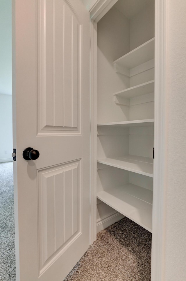 view of closet