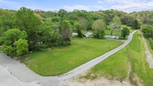 000 College St, Crane, MO 65633 - photo 17