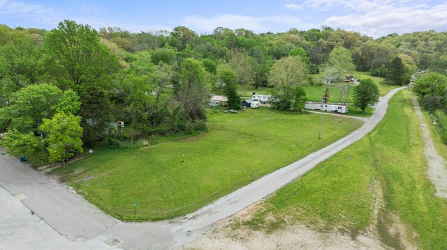 000 College St, Crane, MO 65633 - photo 18
