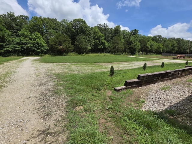 1978 E 473rd Rd, Halfway, MO 65663 - view of community featuring a forest view and a yard
