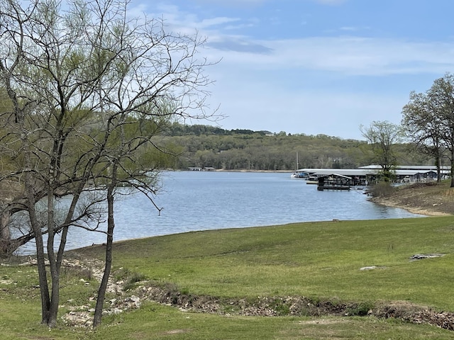 9 Holiday Dr, Kimberling City, MO 65686 - photo 6
