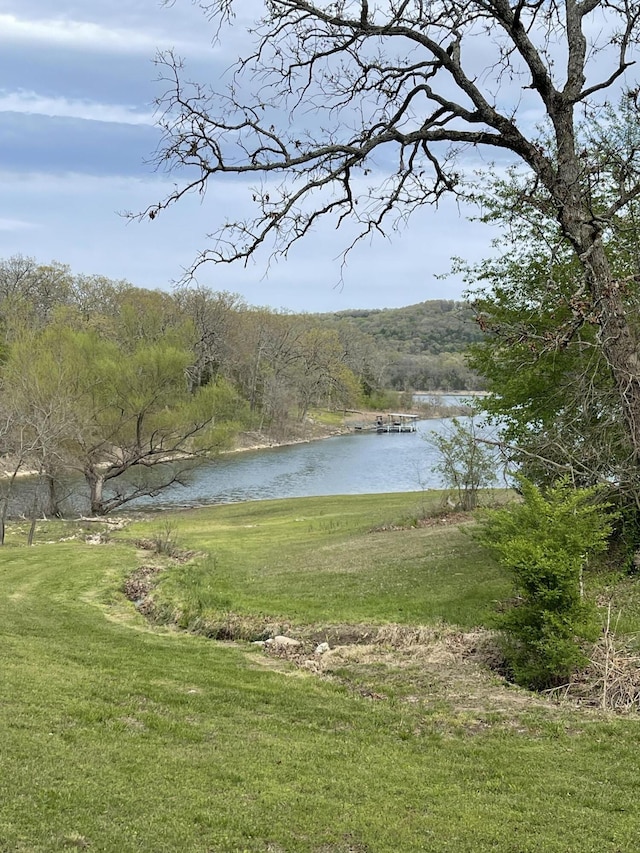 9 Holiday Dr, Kimberling City, MO 65686 - photo 5