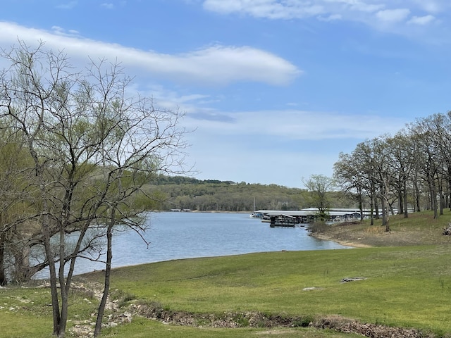 9 Holiday Dr, Kimberling City, MO 65686 - photo 7