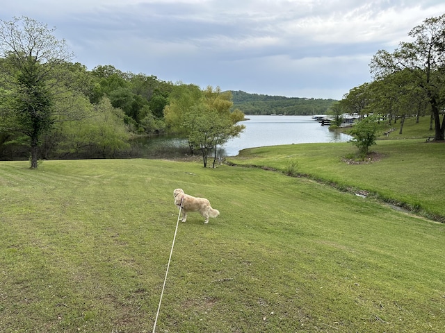 9 Holiday Dr, Kimberling City, MO 65686 - photo 52