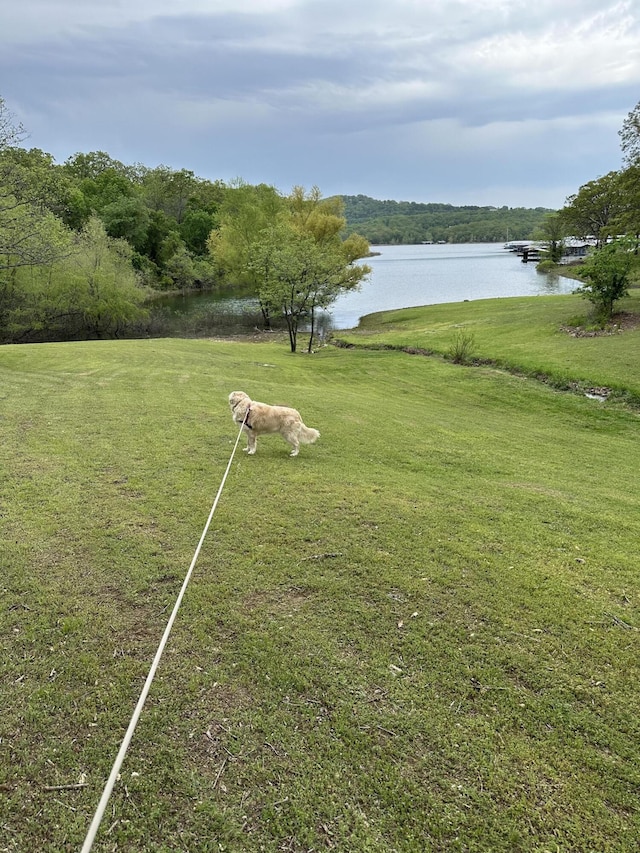 9 Holiday Dr, Kimberling City, MO 65686 - photo 51
