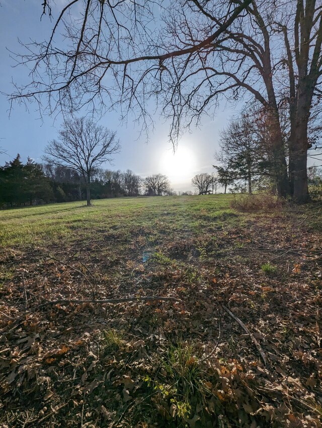 5786 N Farm Rd Unit 249, Strafford, MO 65757 - photo 2