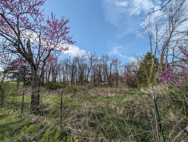 5786 N Farm Rd Unit 249, Strafford, MO 65757 - photo 9