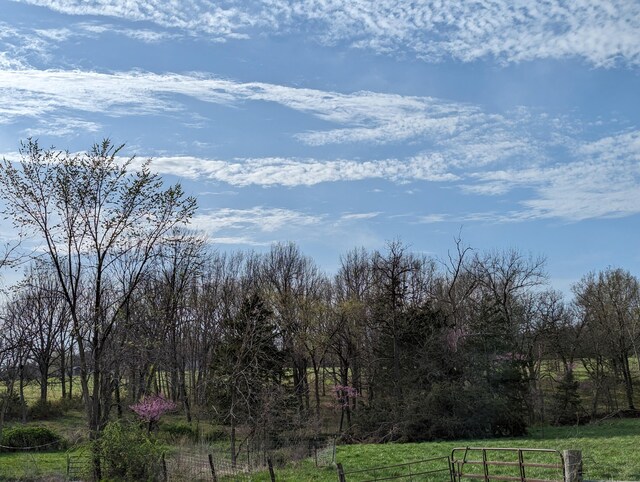 5786 N Farm Rd Unit 249, Strafford, MO 65757 - photo 7