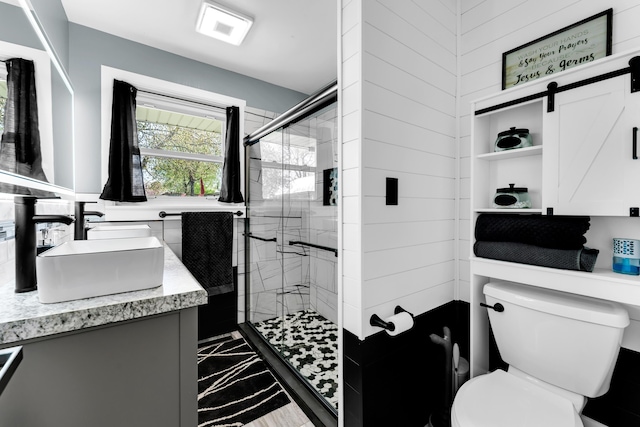 full bathroom with a shower stall, toilet, and vanity