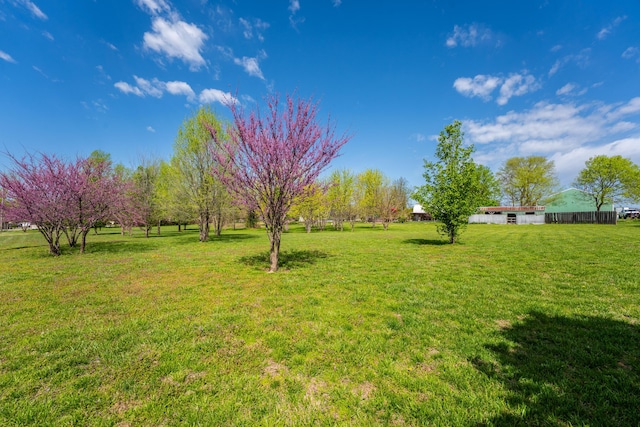 view of yard
