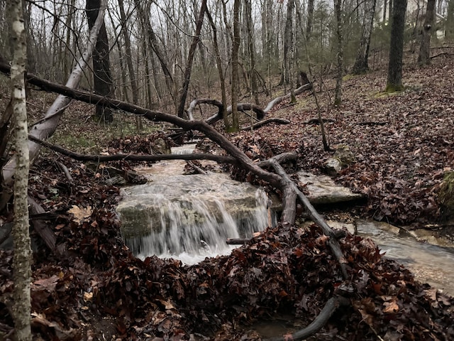 view of water feature