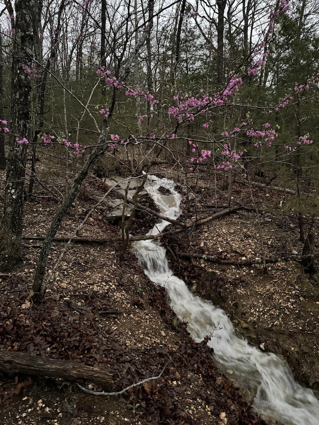 view of nature