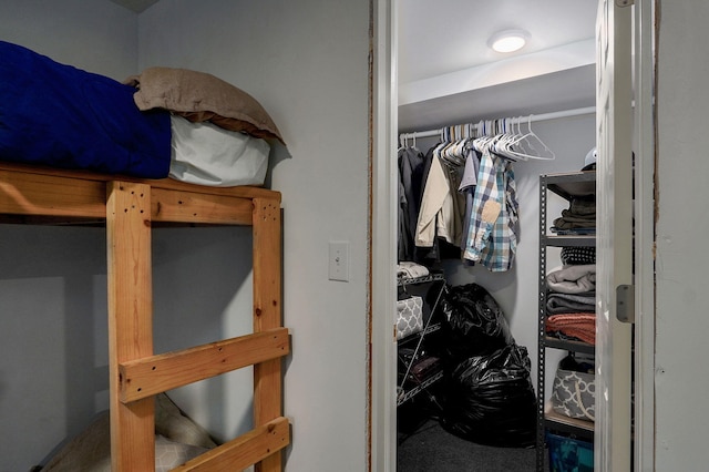 view of walk in closet