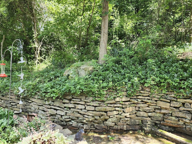 702 W Hubble Dr, Marshfield, MO 65706 - view of nature