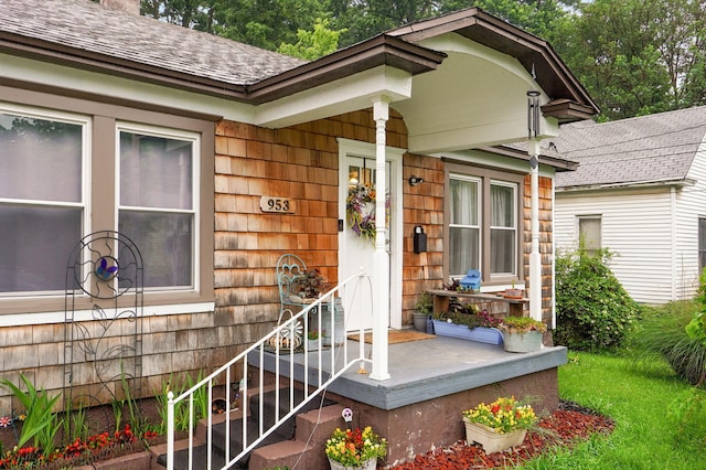953 S Weaver Ave, Springfield, MO 65806 - doorway to property featuring roof with shingles