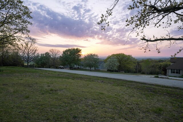 344 Zinnia Ln, Kirbyville, MO 65679 - view of green lawn