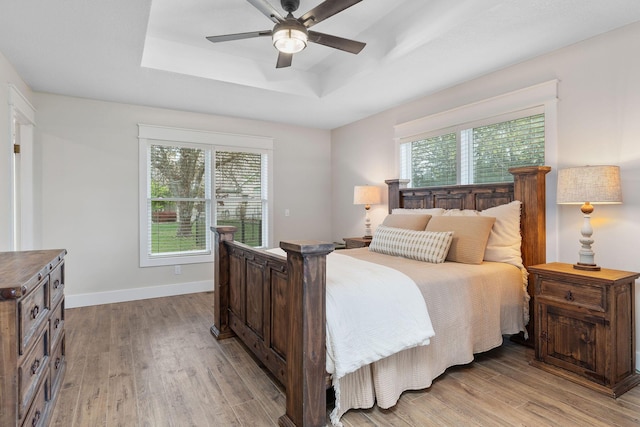 344 Zinnia Ln, Kirbyville, MO 65679 - bedroom with a raised ceiling, light wood-style floors, and multiple windows