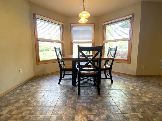 6475 S Farm Rd Unit 193, Rogersville, MO 65742 - dining room featuring baseboards and plenty of natural light