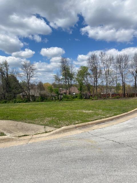 4822 S Montrose Pl, Springfield, MO 65810 - view of road with curbs