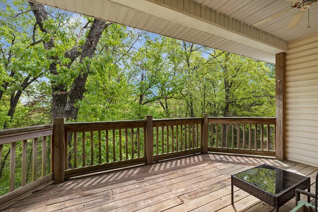 150 Alysse Ln, Hollister, MO 65672 - photo 23
