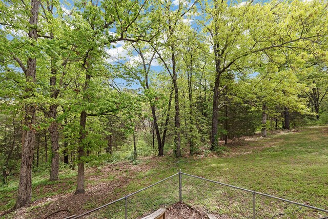 150 Alysse Ln, Hollister, MO 65672 - photo 44