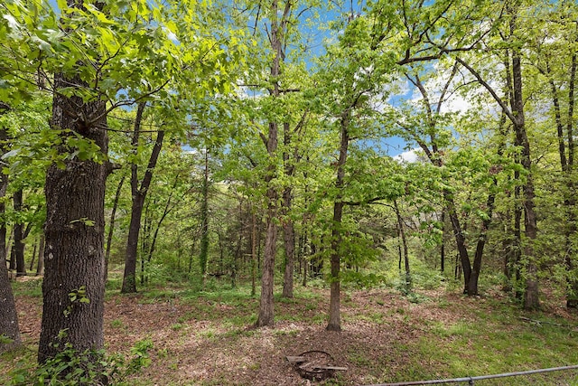150 Alysse Ln, Hollister, MO 65672 - photo 45