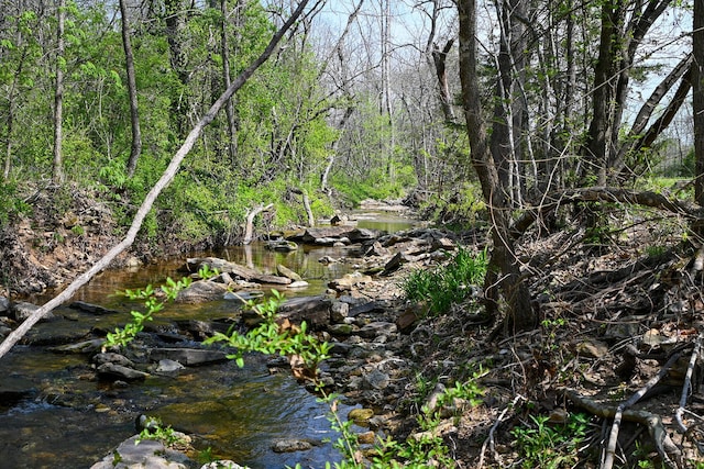 view of landscape