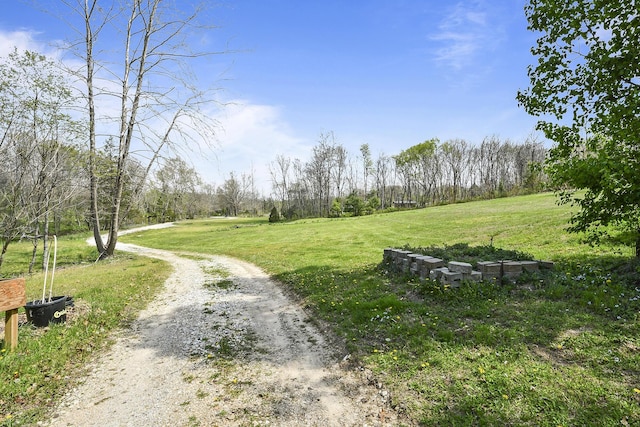 view of home's community with a lawn
