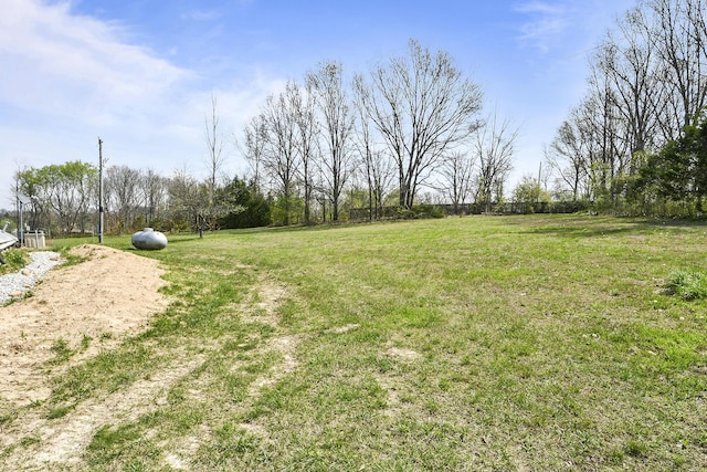 view of yard